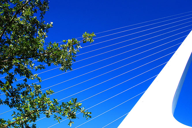 sundial bridge view