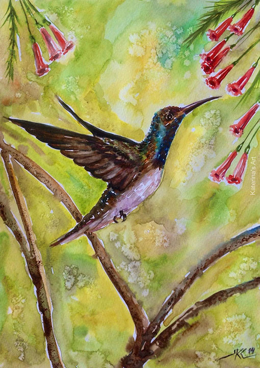 hummingbird